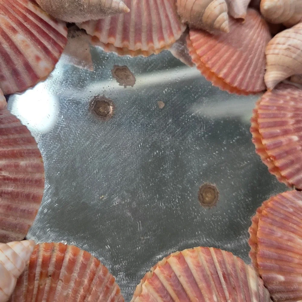 Vintage Natural Seashell Round Wall Mirror 11.5in Coastal Beach House Nautical
